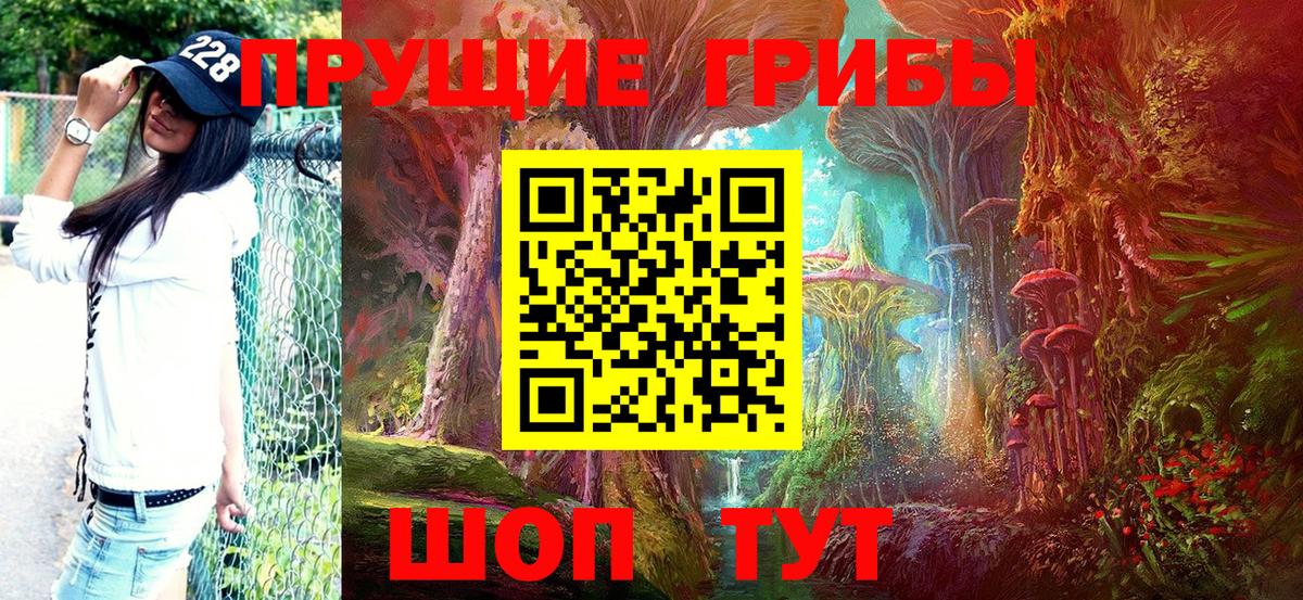 Галлюциногенные грибы прущие грибы  Вход с VPN  Галлюциногенные грибы Psilocybine cubensis  Псков 