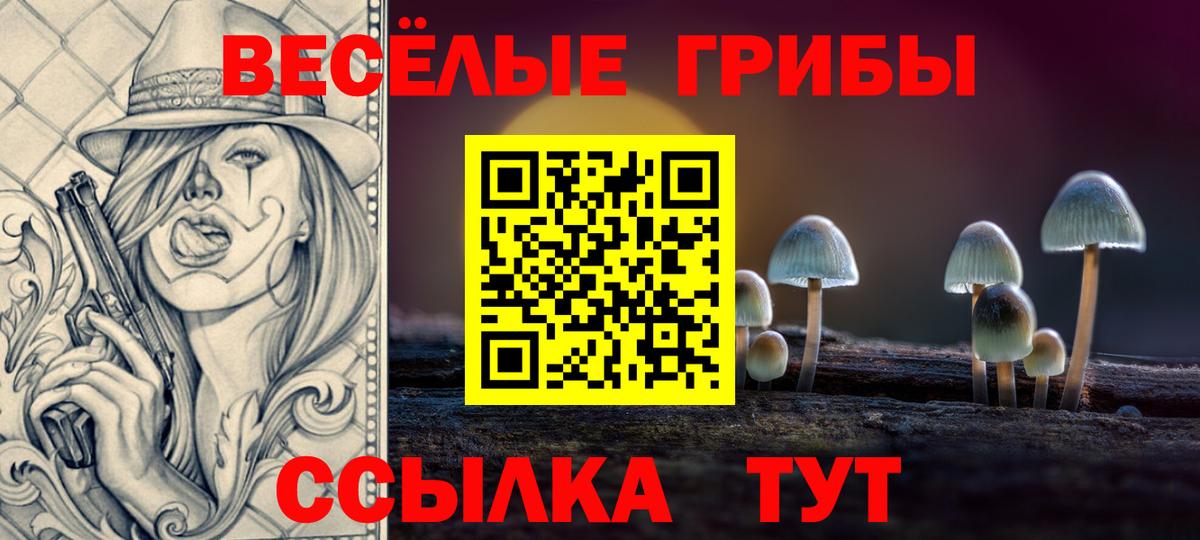 Псилоцибиновые грибы Cubensis Псков