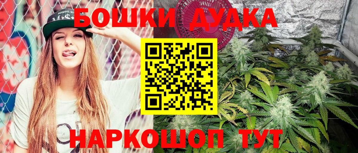 Конопля VHQ  Бошки Шишки ГИДРОПОН  Псков  Вход с VPN  Бошки Шишки VHQ 